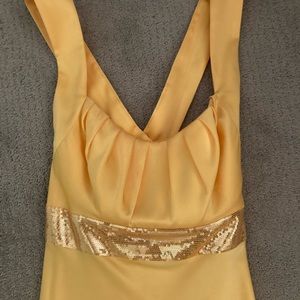 Calvin Klein Floor Length Gown